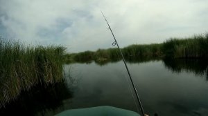 красноперка на вертушку