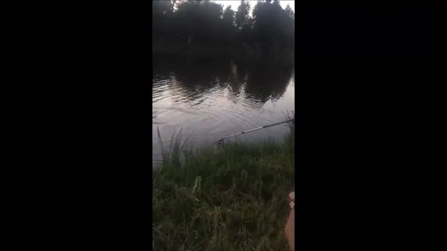 СОМ "ПРУД ПИОНЕРСКИЙ" 09.08.2016 г смотреть онлайн
