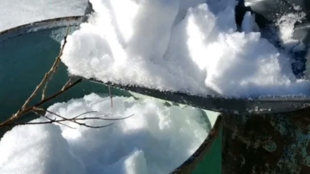 Польза талой воды для рассады. смотреть онлайн