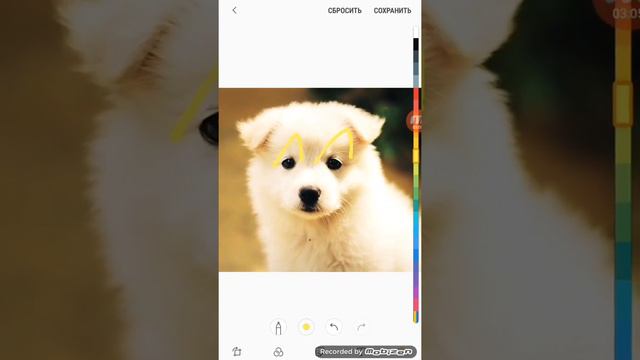 Песня туц туц
