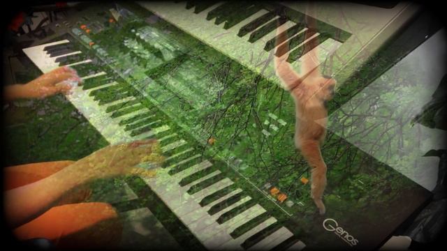 Et Si Tu N'existais Pas - Joe Dassin - Cover on Yamaha Genos смотреть онлайн