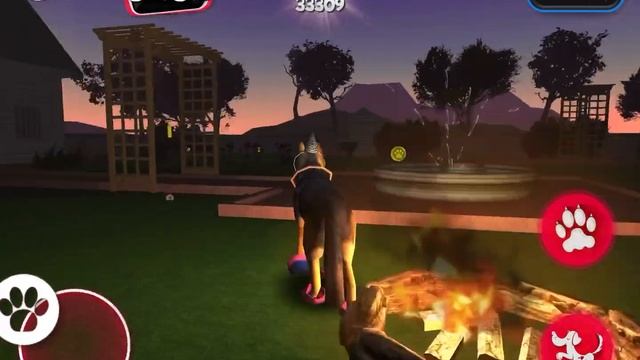 Bloo Kid Episode 509 Dog Simulator Level 8 Garden Night 88479 Points