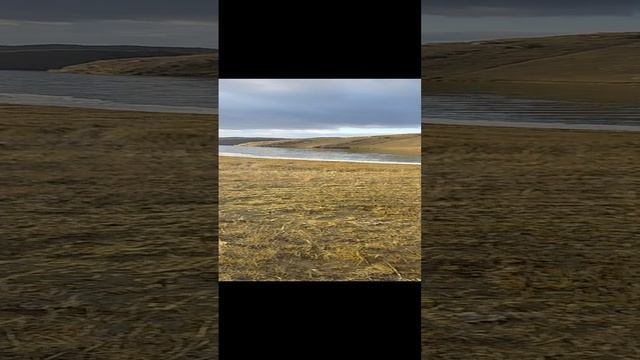 1000005737.mp4 смотреть онлайн