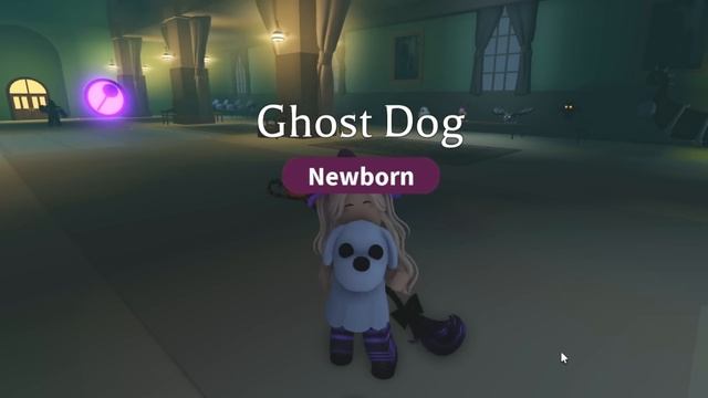 ТОП ТРЕЙДЫ НА СОБАКУ ПРИЗРАКА В АДОПТ МИ! МЕНЯЙ ПОКА НЕ ПОЗДНО!! | TRADE GHOST DOG ADOPT ME Roblox смотреть онлайн