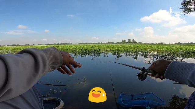 HAMPIR SAJA SAYA PESTA STRIKE IKAN NILA BABON ! Fishing Story Eps 39 смотреть онлайн