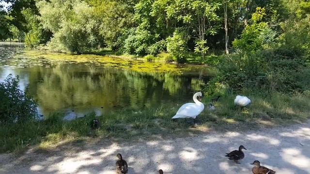 Bois de Boulogne (France) смотреть онлайн
