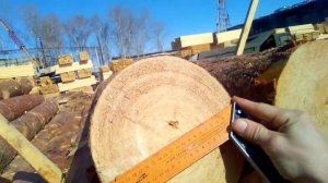 Как правильно измерить диаметр овального бревна для точного подсчета кубатуры леса?
