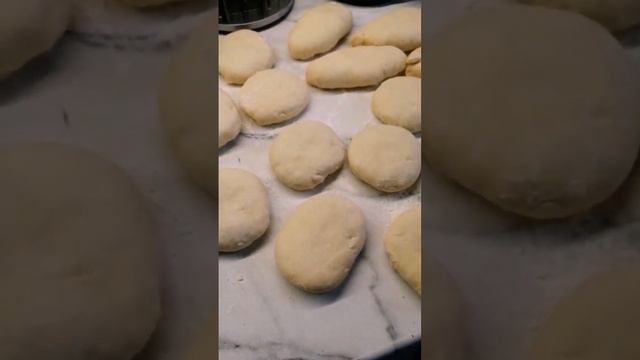 Лесные заповедники