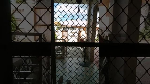 Roblox Happy Horror Game (Trailer) смотреть онлайн