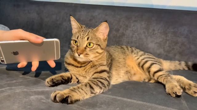 Учим Делать Полезно