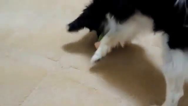 Японская бронированная плюшевая игрушка для собак смотреть онлайн