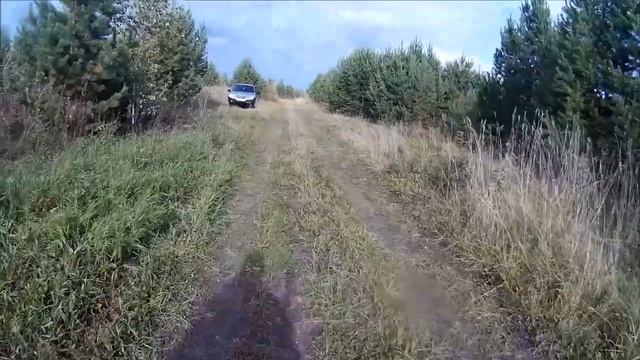 В осенний лес за грибами!??? смотреть онлайн