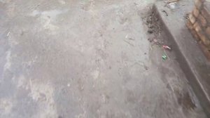 Куры будут нестись каждый день, если сделаешь это.....