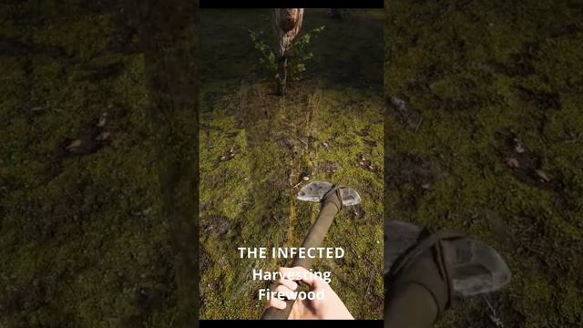 The Infected Tutorial | How To Get Firewood #shorts смотреть онлайн