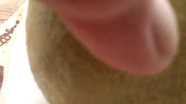 Лимон сорт "Пандероза" в разрезе смотреть онлайн