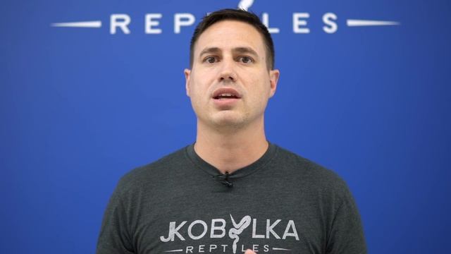 MISIDENTIFIED Ball Pythons — What EVERY Buyer Should Know! | JKR #ProTip смотреть онлайн