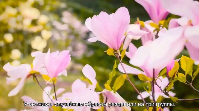 Определена помогающая при мигрени диета смотреть онлайн