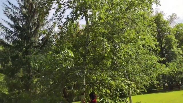 Березоньки красавицы мне душу воскресили Харьков Май 2022 смотреть онлайн