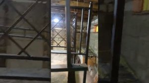 оградка,холодная ковка, художественная ковка,кованые элементы,кондуктор,кузня,сварка.