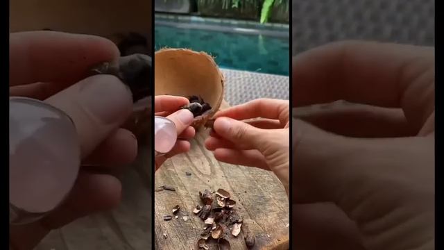 Шоколад ручной работы из какао бобов в домашних условиях сварить смотреть онлайн