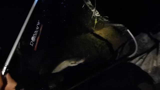 Ночная рыбалка в Пологом Займище Астраханской области на фидер. Я его всё таки поймал! смотреть онлайн