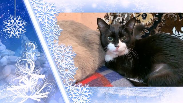 Братская любовь 3 смотреть онлайн