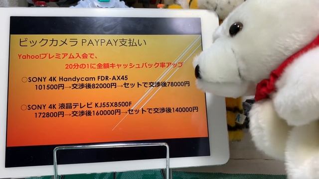 【PayPay】ペイペイで10万円当たり！ビックカメラ20万使ってきた！ FDR-AX45 ビデオカメラ SONY ソニー KJ-55X8500F BRAVIA ブラビア 4K液晶テレビ音声合 смотреть онлайн