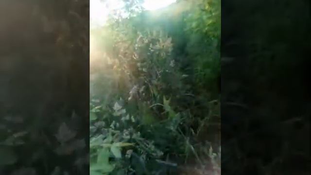 Самый Длинный День В Году... 22 июня... смотреть онлайн