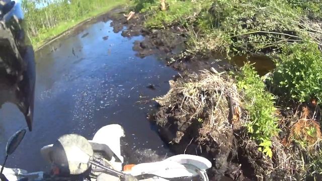 Лесной гряземес или Поездка до Христофоровой пустоши смотреть онлайн