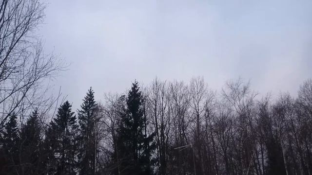 Крики сорок смотреть онлайн