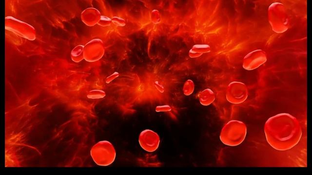 Электрический мост - Эпизод 04 "Космический кровоток" смотреть онлайн