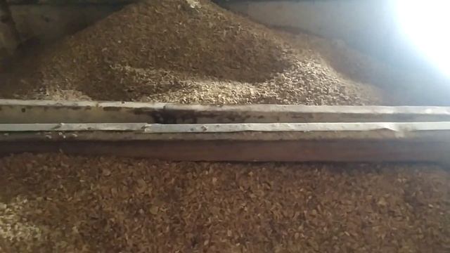 КУПИЛИ НОВЫЙ КОРМ С МУРАВЬИНОЙ КИСЛОТОЙ //ЧЕМ ПОЛЕЗНА МУРАВЬИНАЯ КИСЛОТА? смотреть онлайн