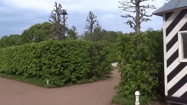 Золотой каскад и шум фонтанов смотреть онлайн