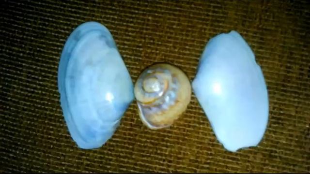 Узоры из ракушек часть 2 смотреть онлайн