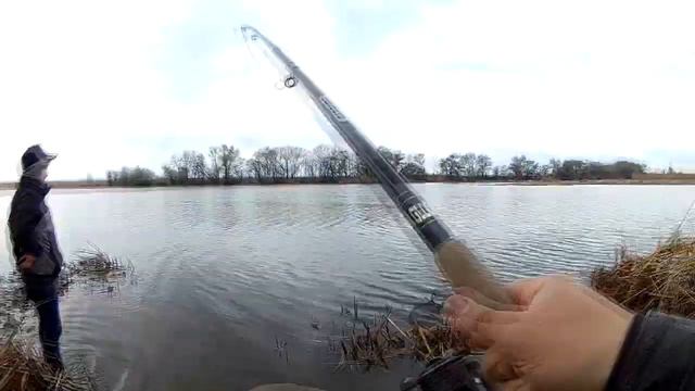 Открытие по карасю на фидер смотреть онлайн