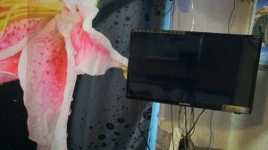 Самый дешевый телевизор с aliexpress.  Телевизор 22 дюйма Soundmax SM-LED22M03. Плоский и простой.
