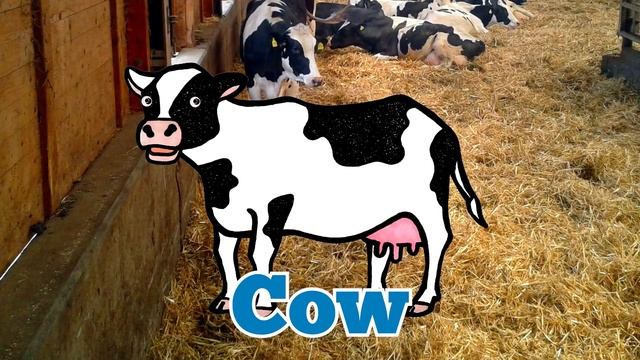 Baby Piglet Got Lost in the Farm! | Learn What Animals do at the Farm смотреть онлайн