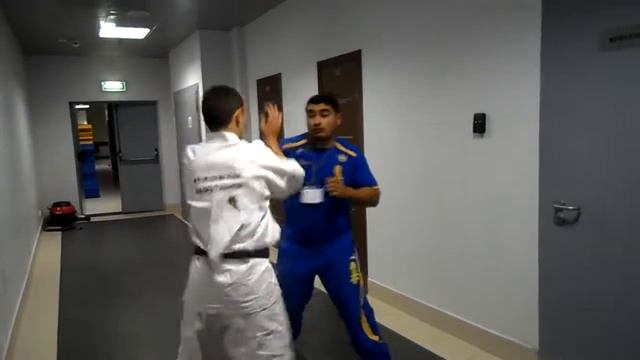 KYOKUSHIN BAGRATASHEN смотреть онлайн