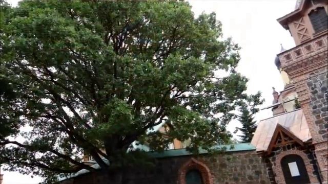 Пюхтица Милость Божия смотреть онлайн