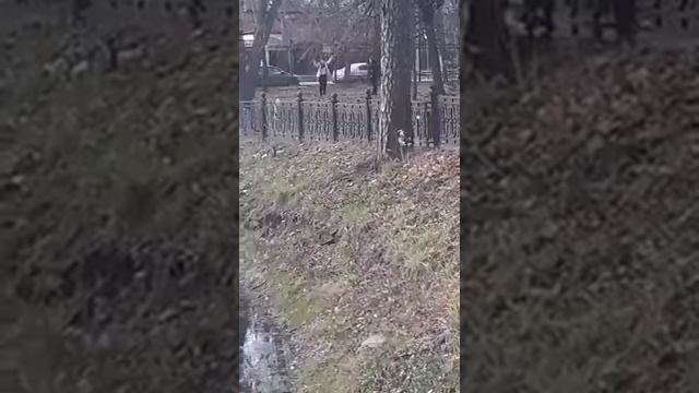 Она любит лайка лайка смотреть онлайн