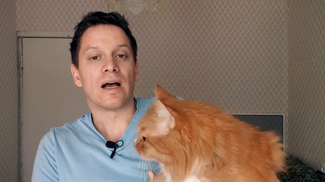 КОШАТНИК, СОБАЧНИК, или ПТИЧНИК? смотреть онлайн