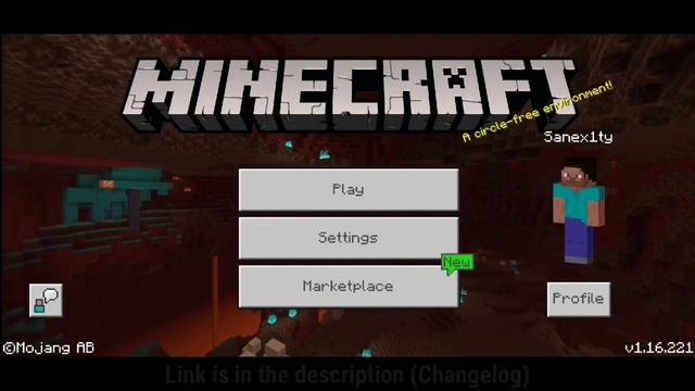 Get Minecraft Bedrock/PE 1.16.221 official version for free смотреть онлайн