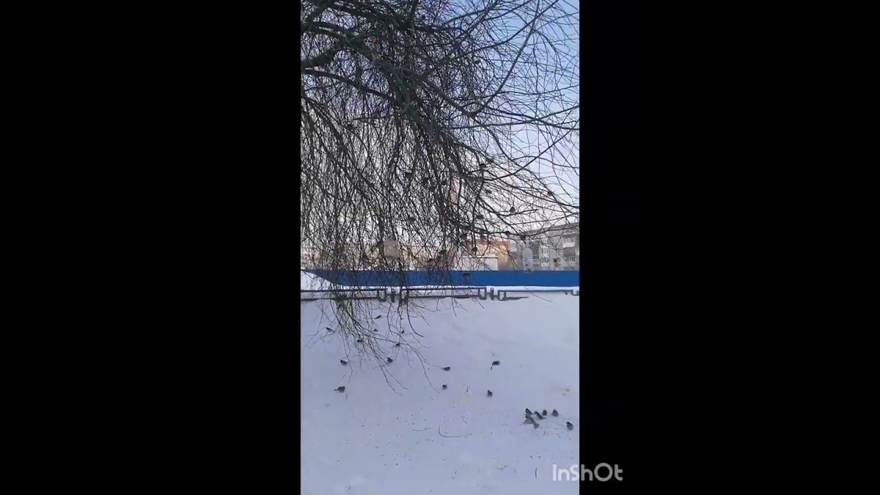 Гуляю❣️смотри видео до конца смотреть онлайн