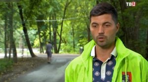 Испанские слизни атакуют наши огороды!