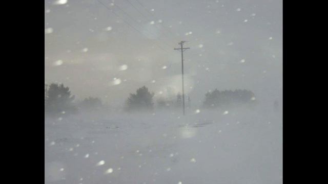 Буран в степи