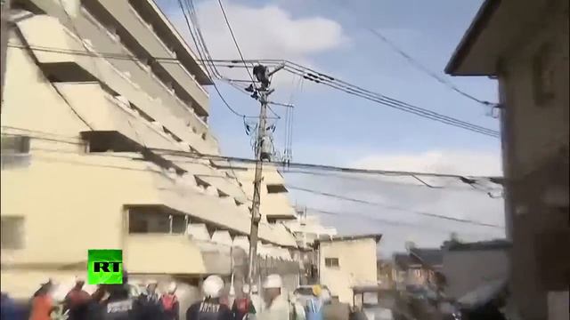 Обдолбанный шимпанзе на проводах смотреть онлайн
