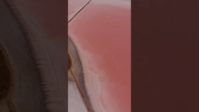 Розовое озеро в Австралии ? #shorts смотреть онлайн