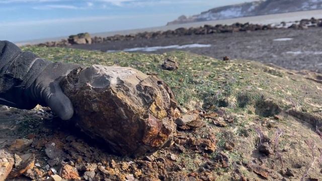 Hammer Method Used To Crack Open Perfect Fossils! | Fossil Hunter смотреть онлайн
