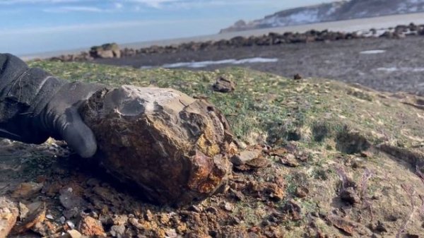 Hammer Method Used To Crack Open Perfect Fossils! | Fossil Hunter