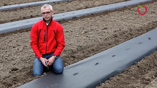 Nowa maszyna do formowania zagonów i rozkładania agrowłóknin lub tkanin смотреть онлайн